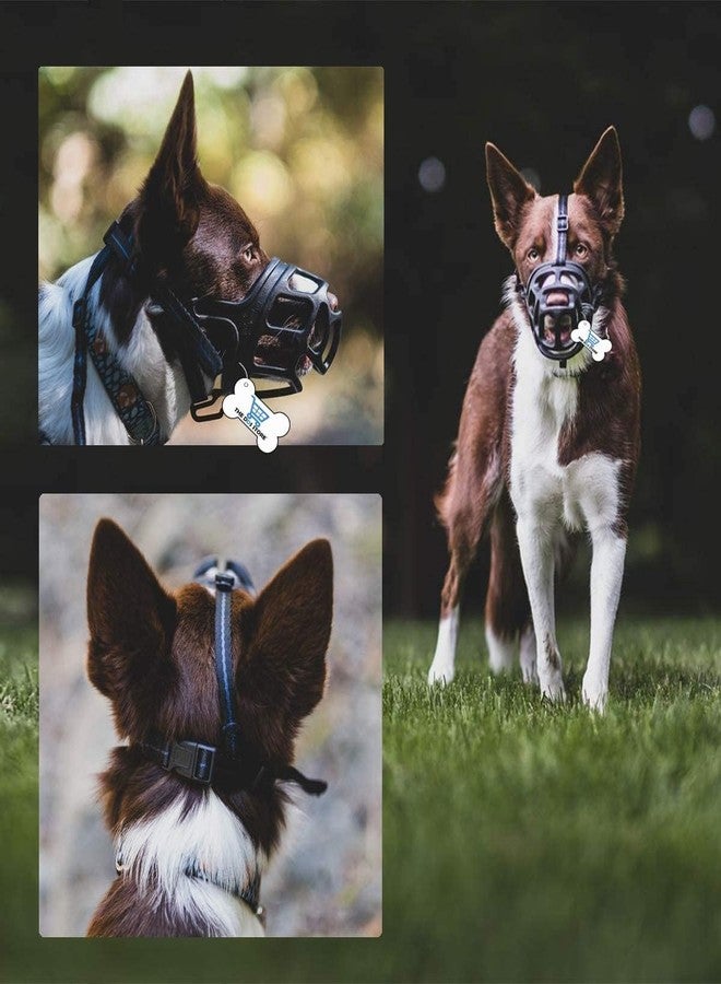 THE DDS STORE Dog Muzzle, Basket Muzzle for Biting, Chewing and Scavenging, Humane Cage Mouth Cover, Perfect for Grooming and Training Small, Medium, Large Aggressive Reactive Dogs (Red, X-Small) - Image 5